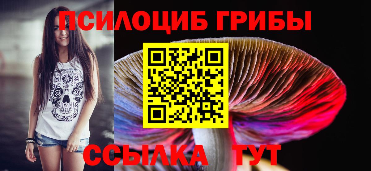 Артёмовский  Галлюциногенные грибы мухоморы  Вход с VPN 